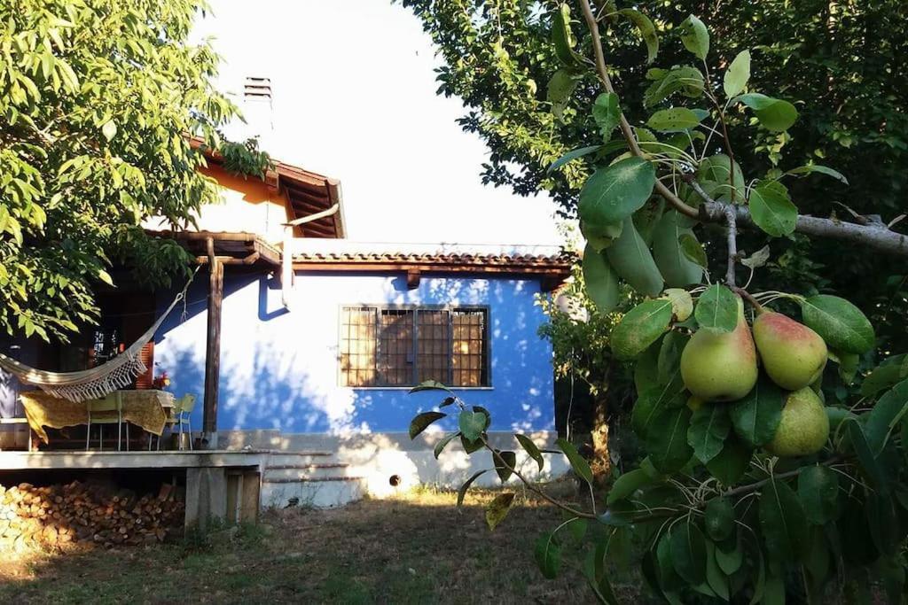 فيلا Country House Tra Lago E Mare A Sud Di Roma Campoleone المظهر الخارجي الصورة
