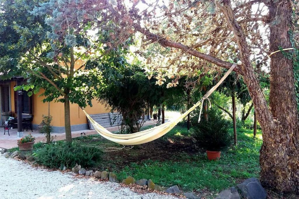 فيلا Country House Tra Lago E Mare A Sud Di Roma Campoleone المظهر الخارجي الصورة